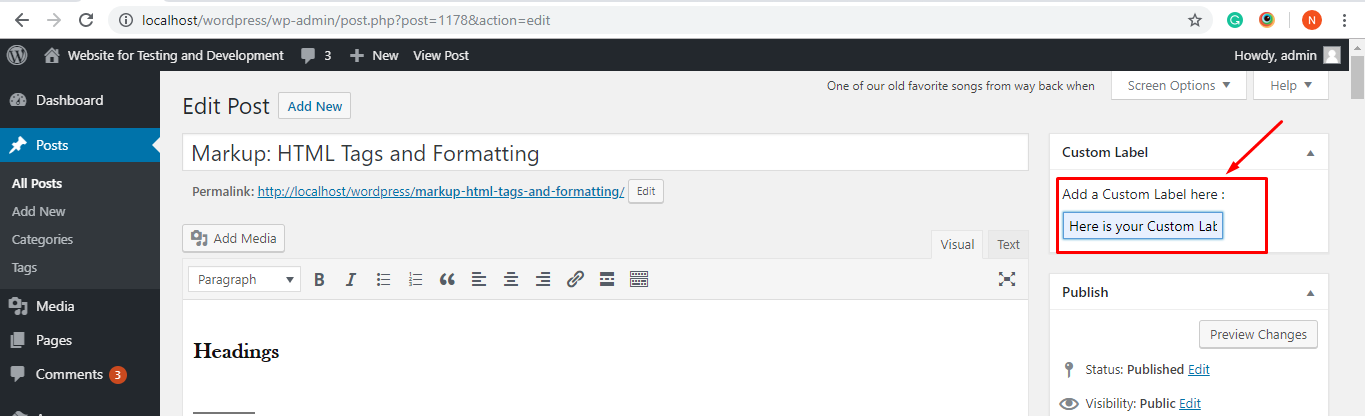 Edit pages/posts/projects screen shows metabox.