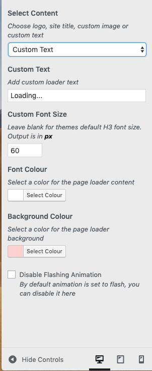 Custom Text customiser view
