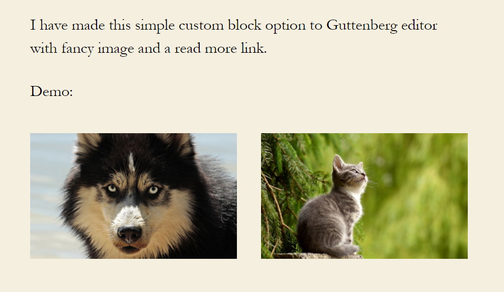 Two customblocks used on a page.