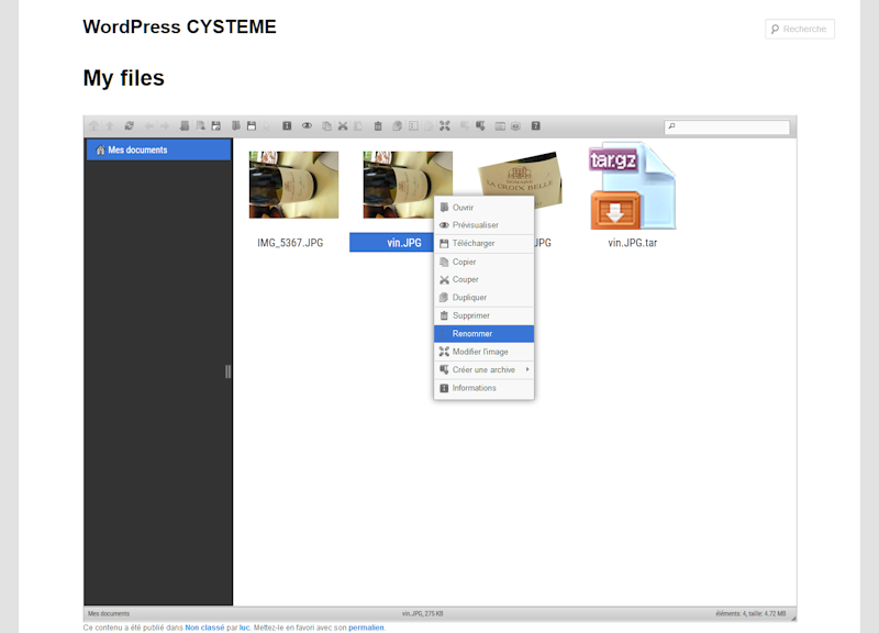 That one show the CYSTEME Finder interface in thumbnails mode for a WordPress user using shortcode [cysteme_finder] in a post - PRO VERSION at http://cysteme.fr/cysteme_finder -