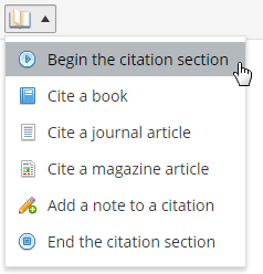 Begin your citation section by selecting "Begin the citation section"