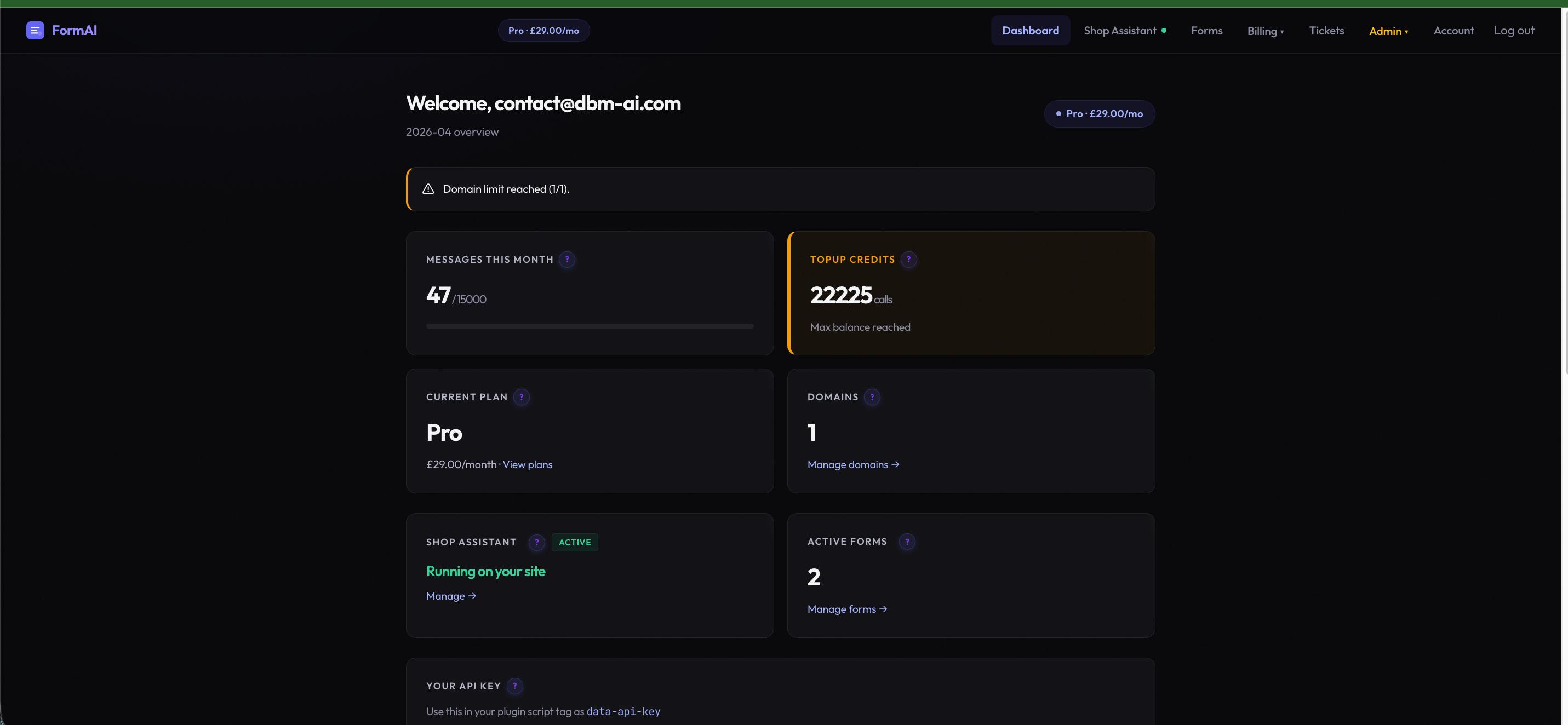Dashboard overview — usage stats, plan info, API key, and embed snippet