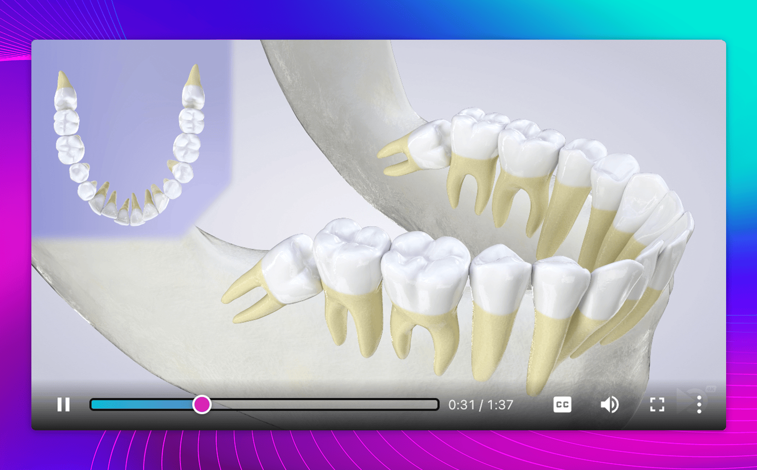 See exactly how your video will look before you publish.