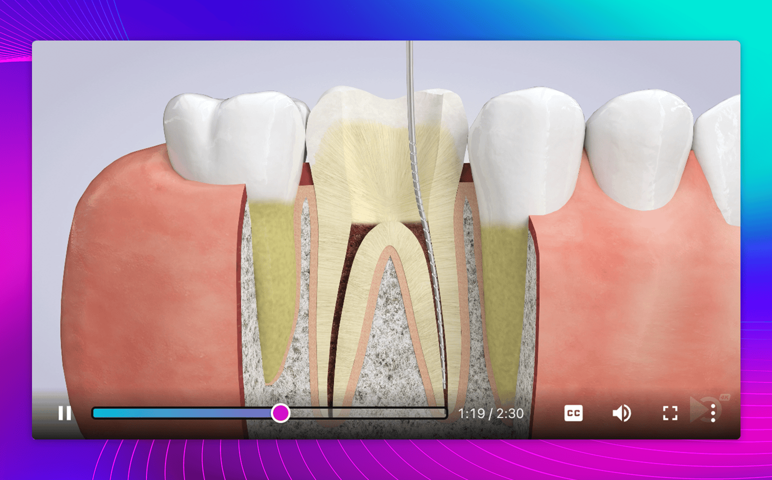 Find the perfect video with category filters and search.