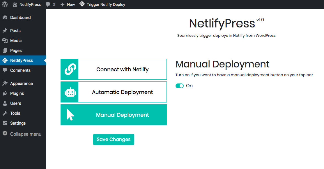 Manual Deployment configuration page.