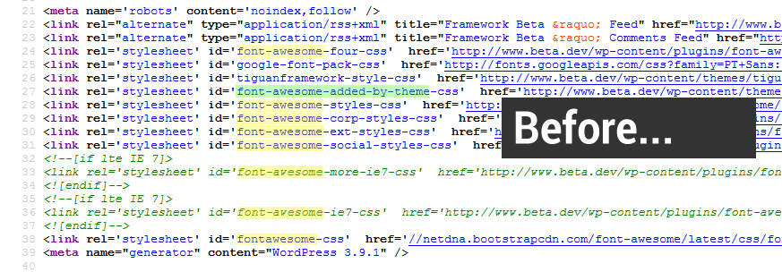 Page source view before activating the plugin.