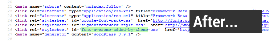 Page source view after activating the plugin.
