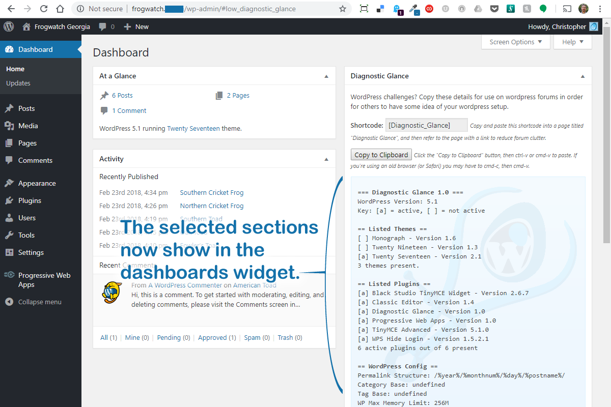 The selected sections now show in the the dashboard widget.