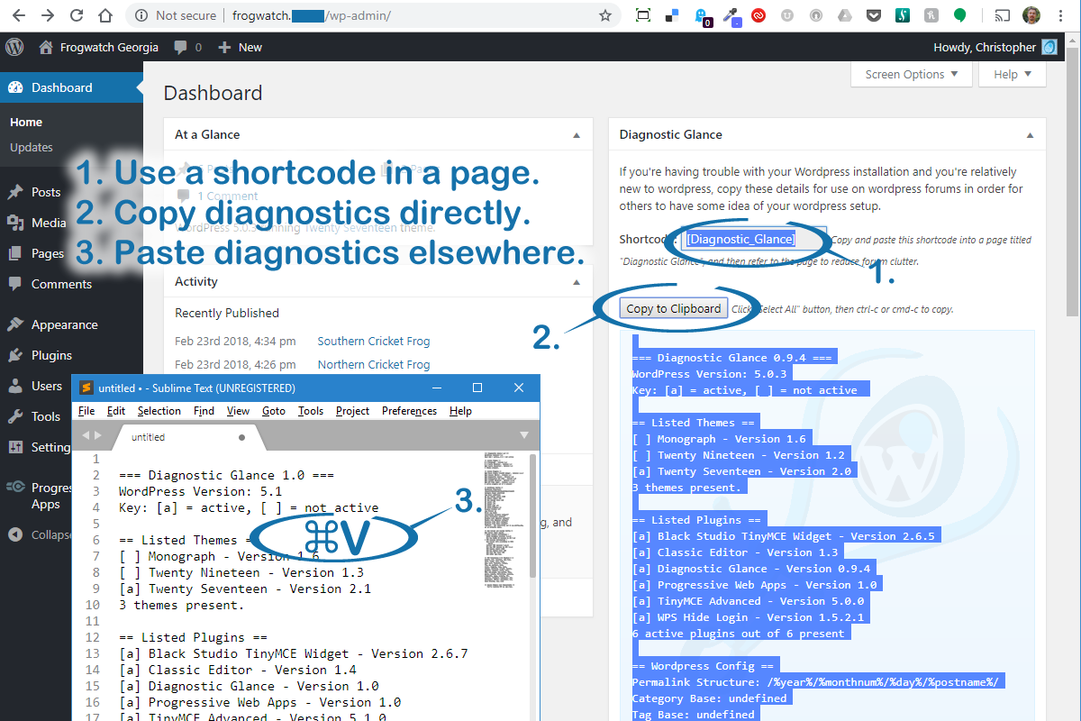 Use the shortcode in a page or copy diagnostics directly and paste them elsewhere.