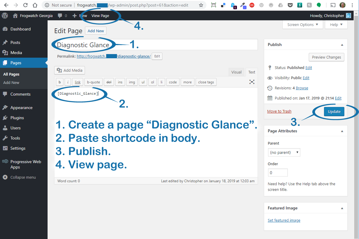 To use the shortcode, create a page titled "Diagnostic Glance" and paste the shortcode into the body. Publish and view the page.