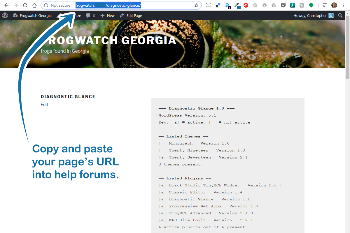 Copy your page's URL into help forums as needed to reduce clutter.