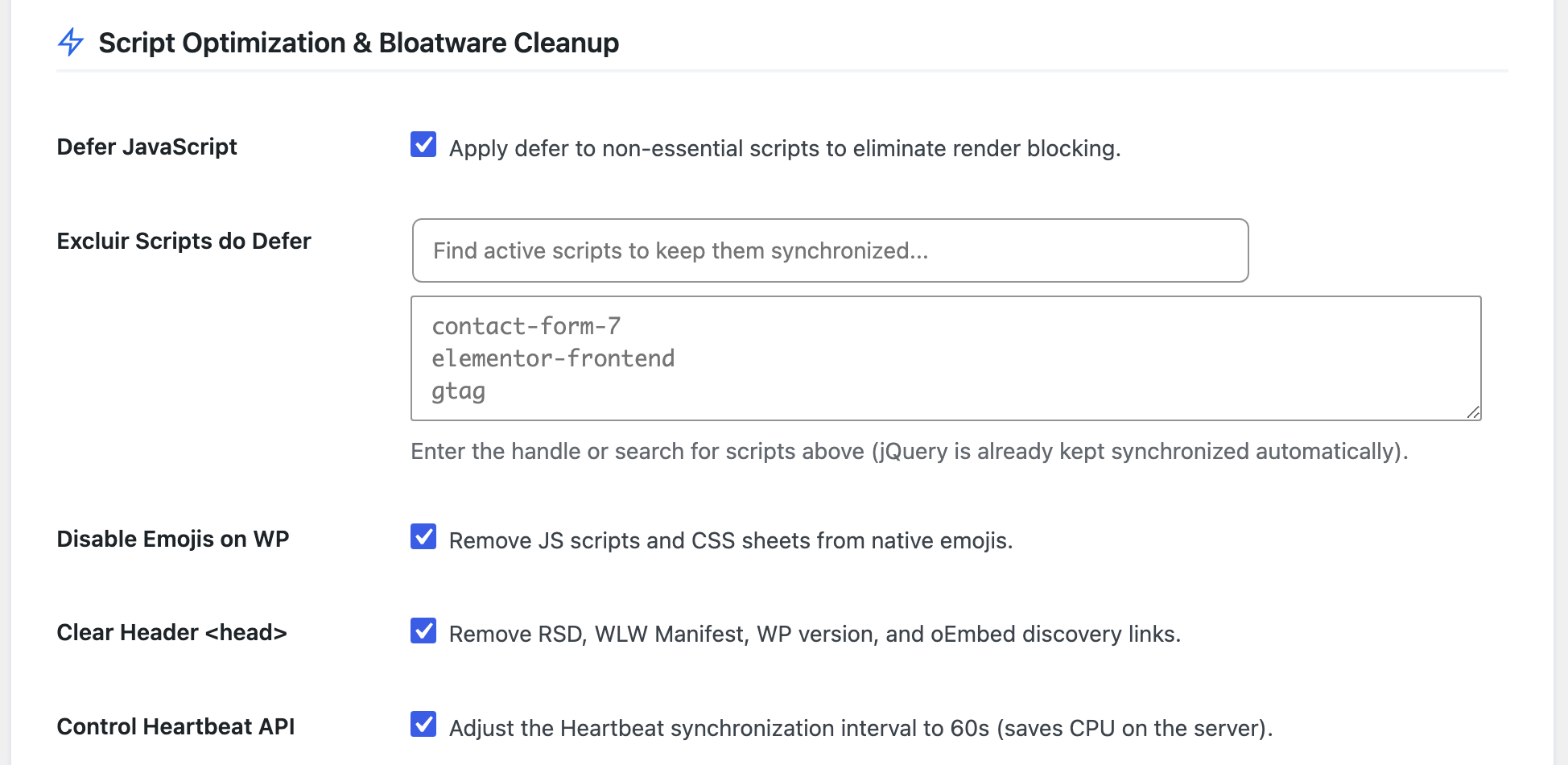 JavaScript defer and WordPress bloat cleanup controls for a lighter, faster website.