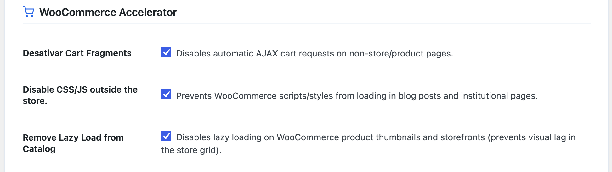 WooCommerce performance optimizations for reducing unnecessary assets and improving store speed.
