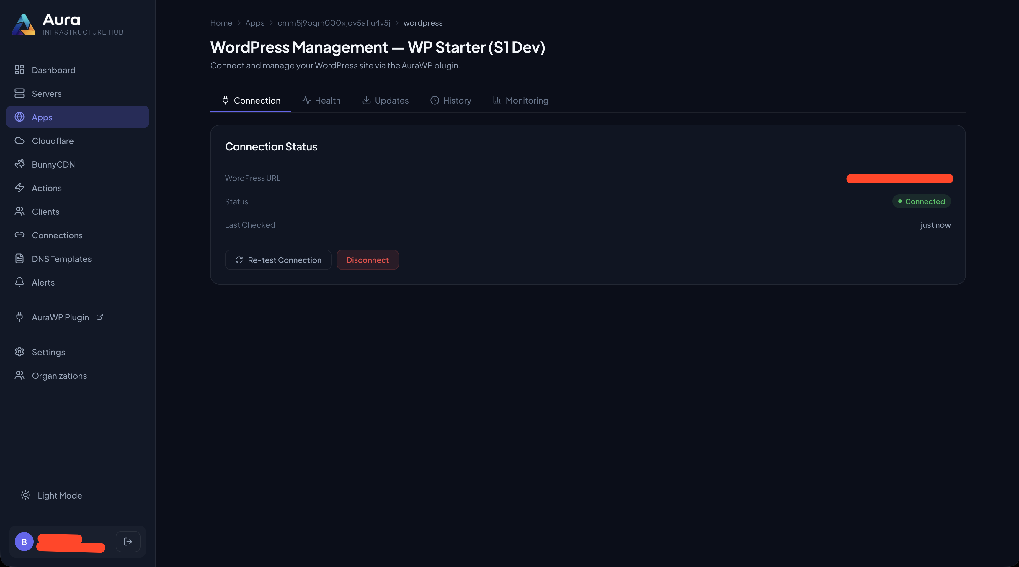 Connection test section — verify your API endpoint and plugin version.