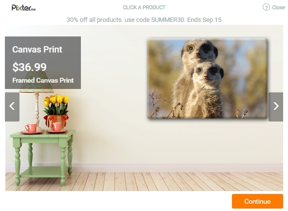 A variety of print options