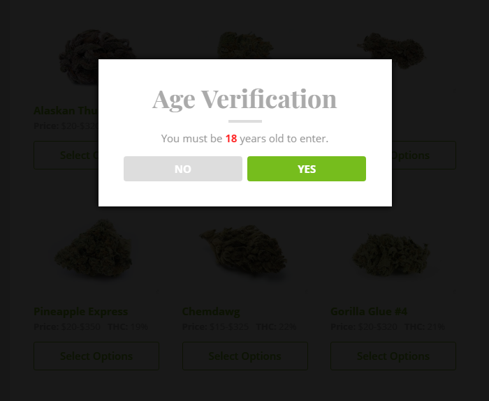 Example of the default age verification pop up modal box