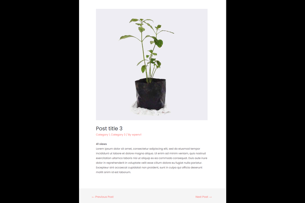 Product detail page view