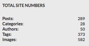 The widget frontend