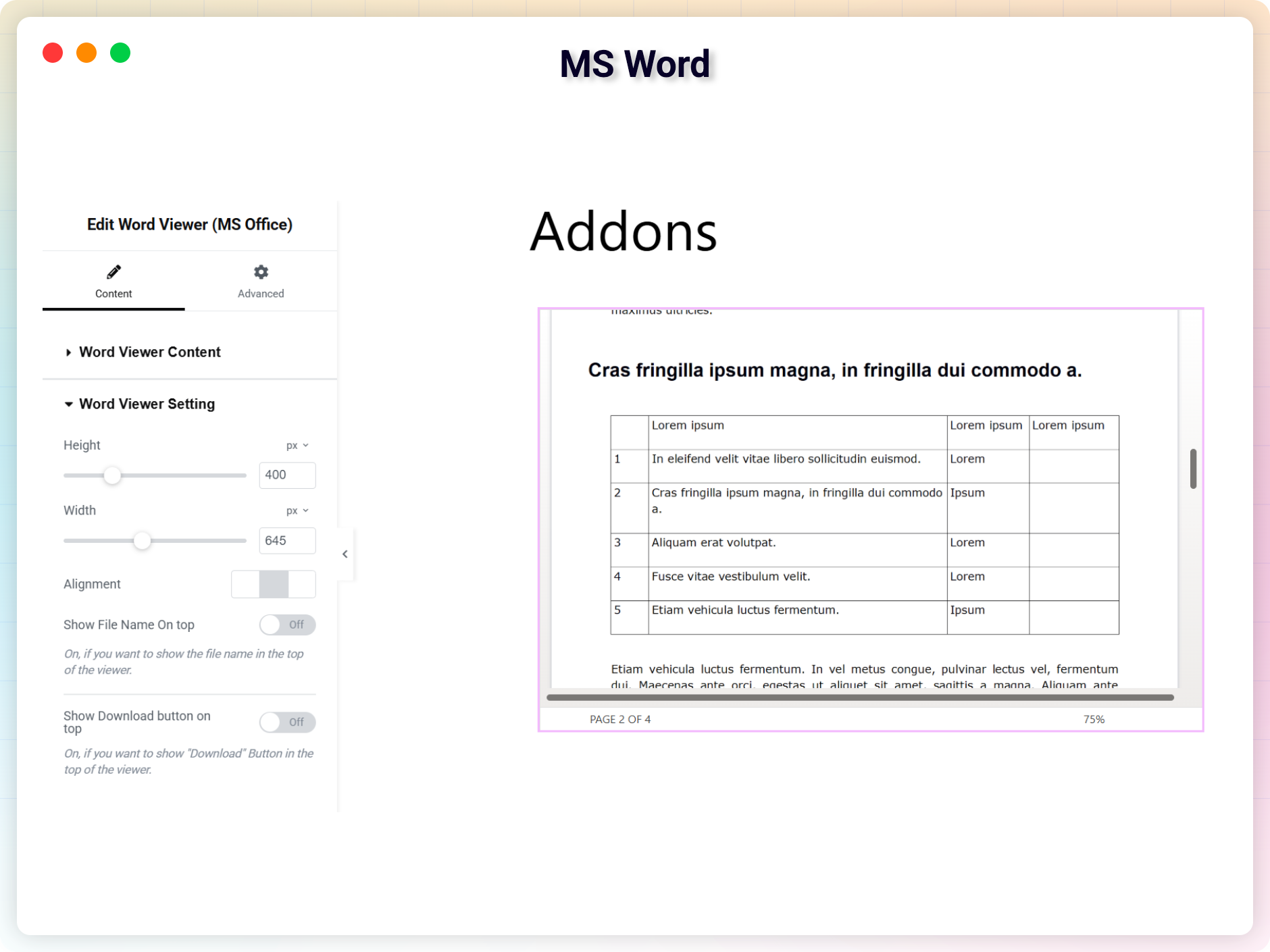 MS Word
