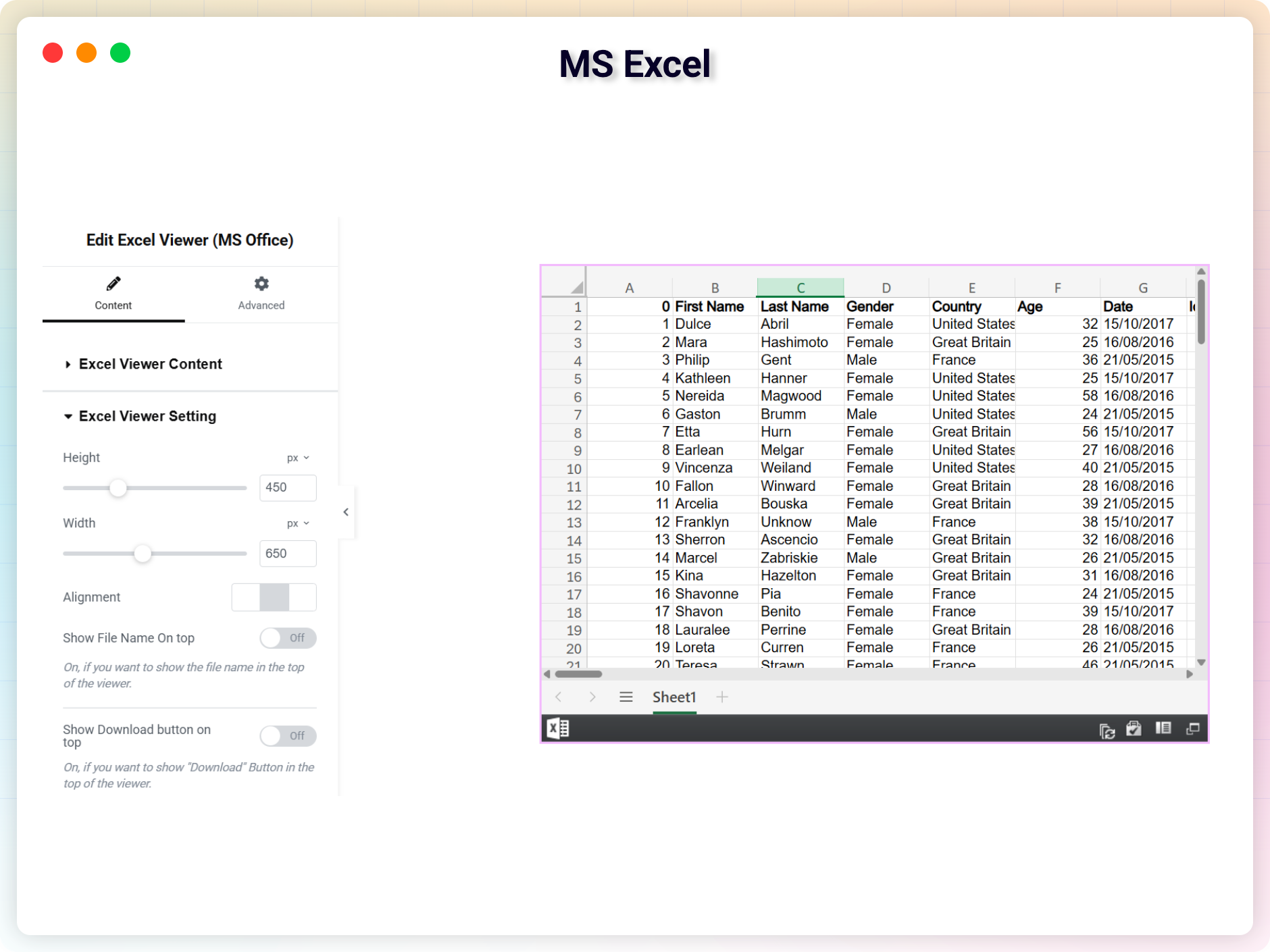 MS Excel
