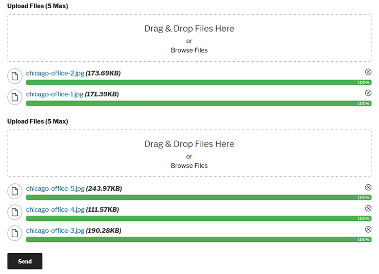 Multiple Drag and Drop Fields - Front