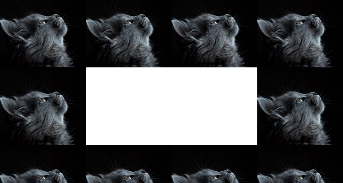 This is the screenshot of dream grid gallery section (screenshot-2.jpg).