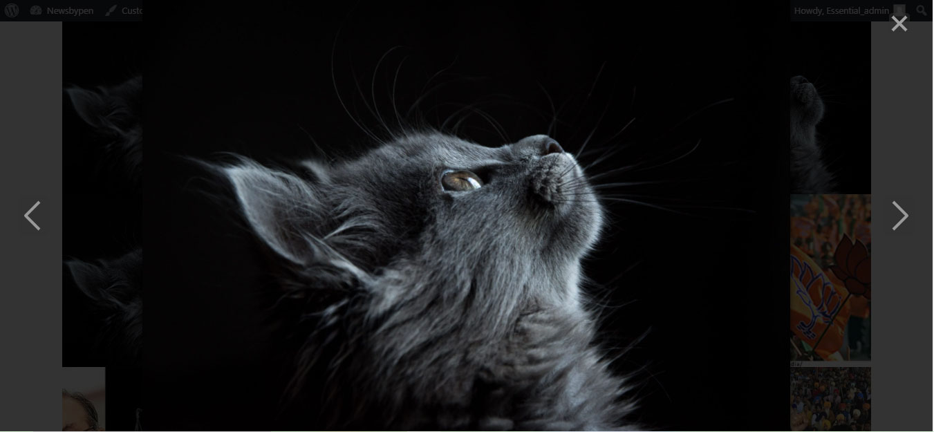 This is the screenshot of dream grid gallery image (screenshot-4.jpg).