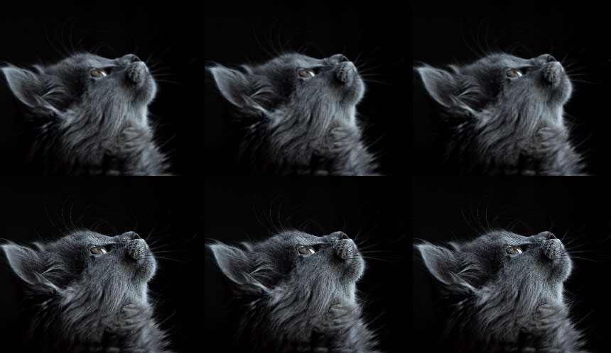 This is the screenshot of dream grid gallery multiple images (screenshot-5.jpg).