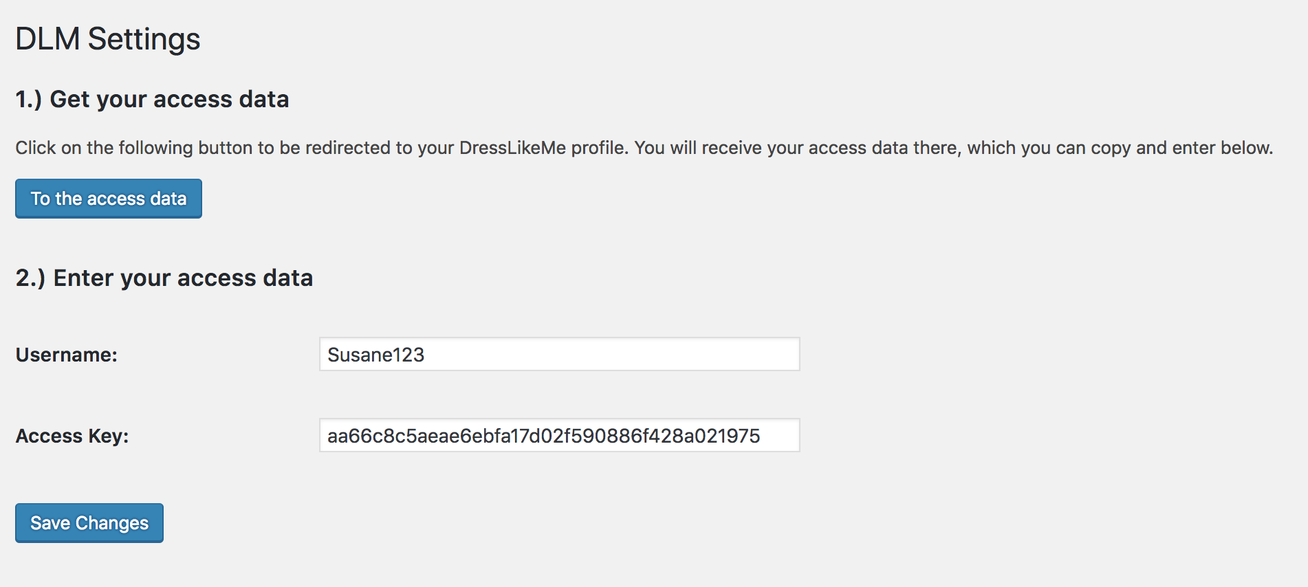 You can store your personal access data in the plugin settings