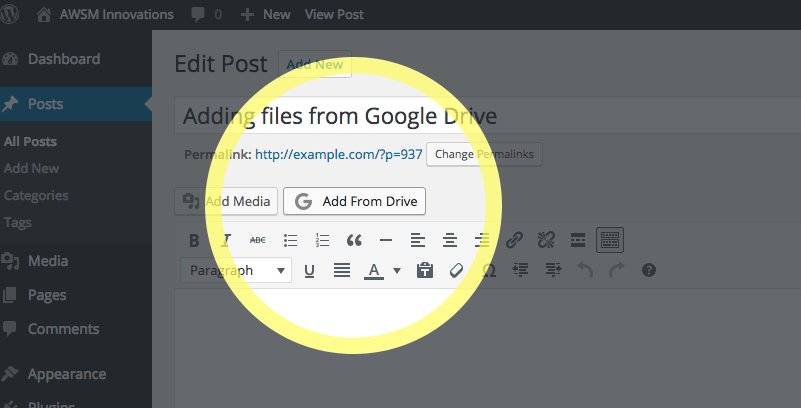 ‘Add From Drive' button integrated into WordPress visual editor
