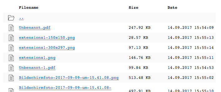 frontend view