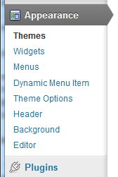How the setup menu appears in the Admin panel