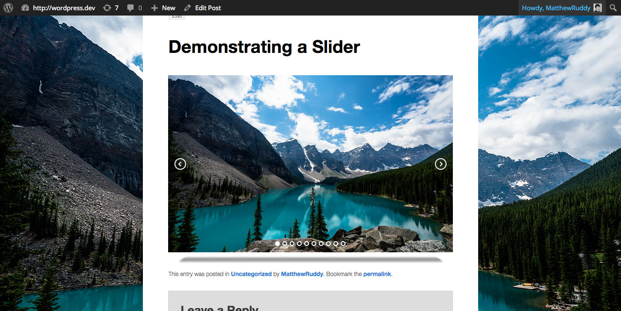 A preview of a slider. This is how is should appear on your WordPress site (may differ based on your settings).