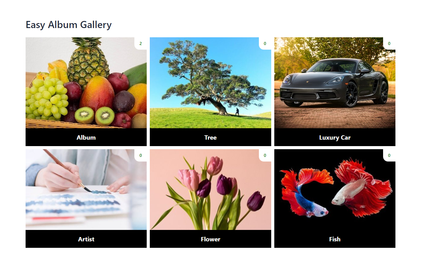 Album Gallery