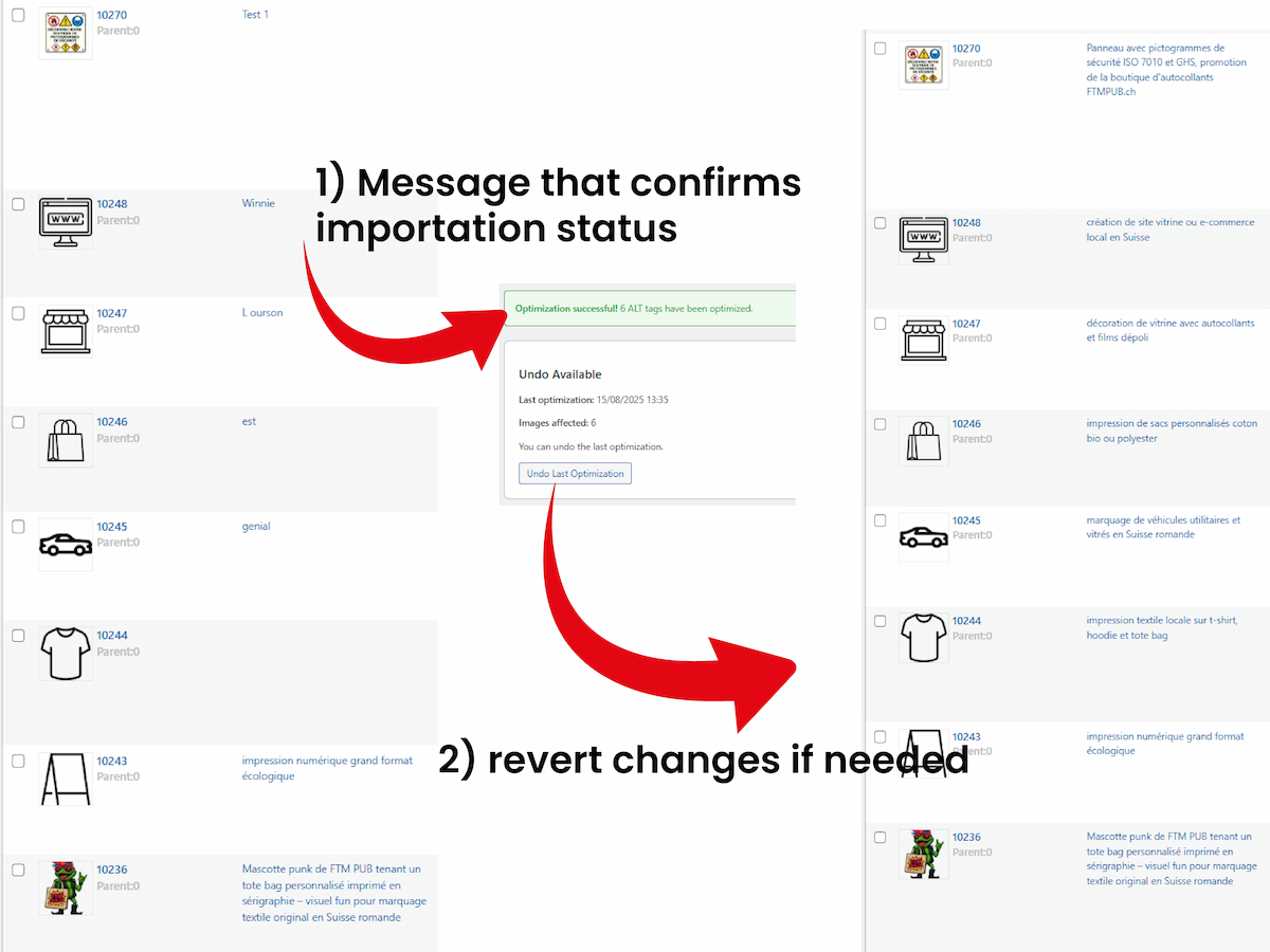 **Main plugin dashboard** — Download templates, upload your CSV, and launch bulk optimization.