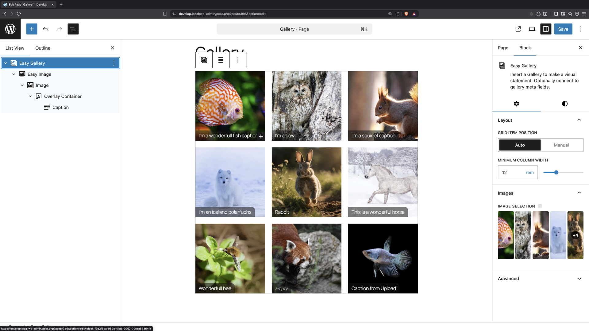 Create Image Galleries with optional aspect ratio, lightbox and object position.