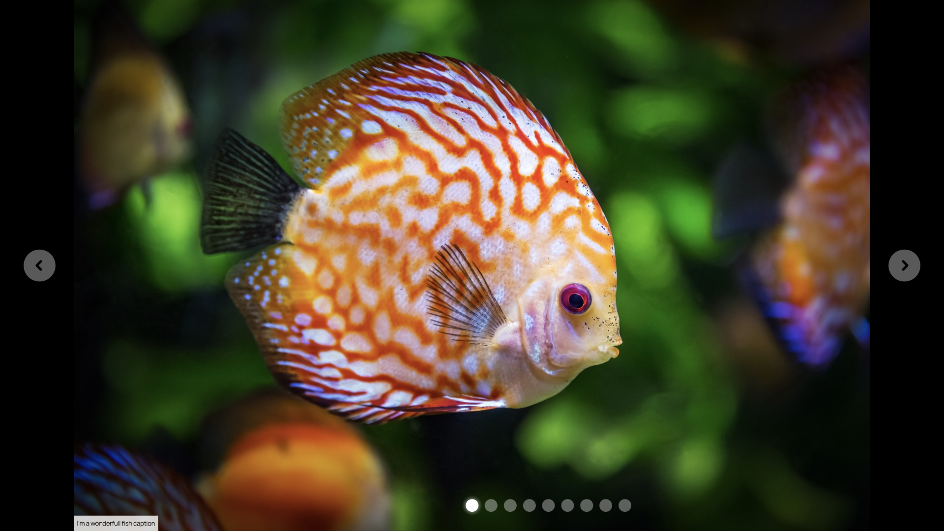 Fullscreen lighbox with swipe, keyboard and mouse controls.