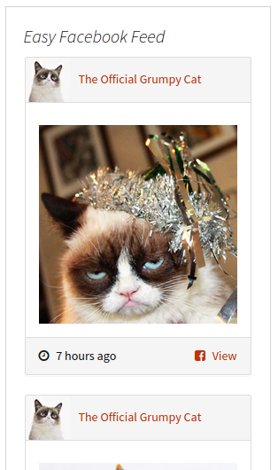 Easy Facebook Feed as widget in a sidebar.