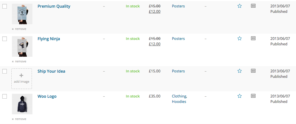 WooCommerce Support