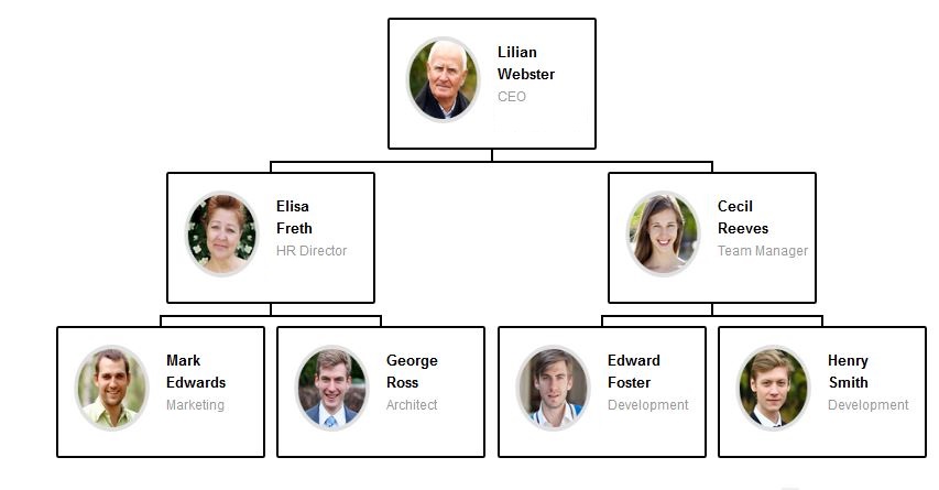 Here is an example of a FREE Organizational Chart