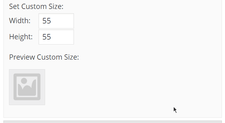Preview your thumbnail size selection.
