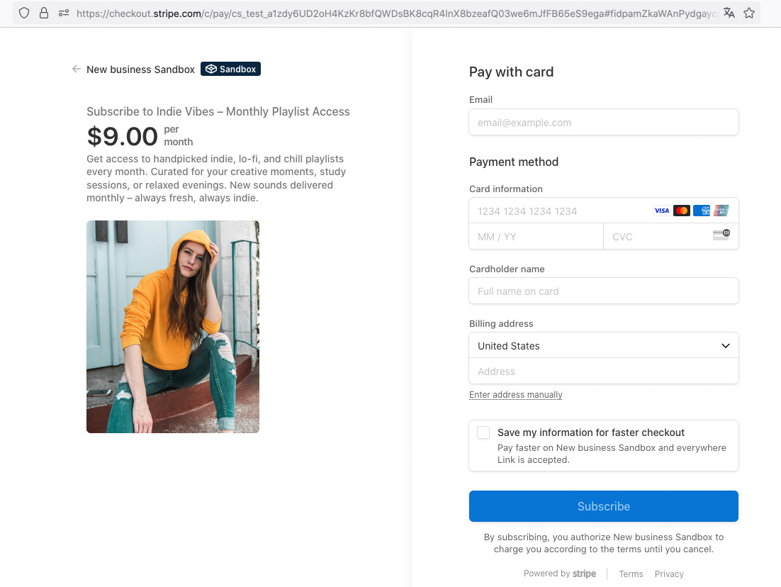 Example of a Stripe-hosted checkout page for subscription payments