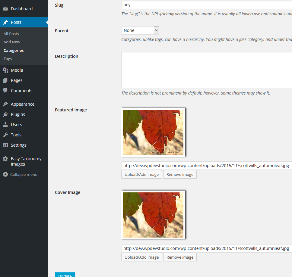 Taxonomy Edit page - you can add remove / update feature & cover images here