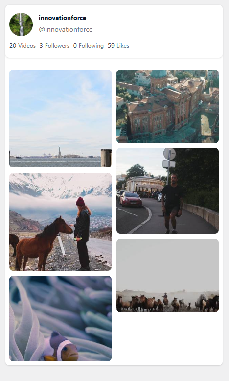 Grid layout with profile info