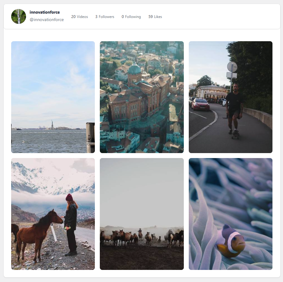 Full-page responsive TikTok grid