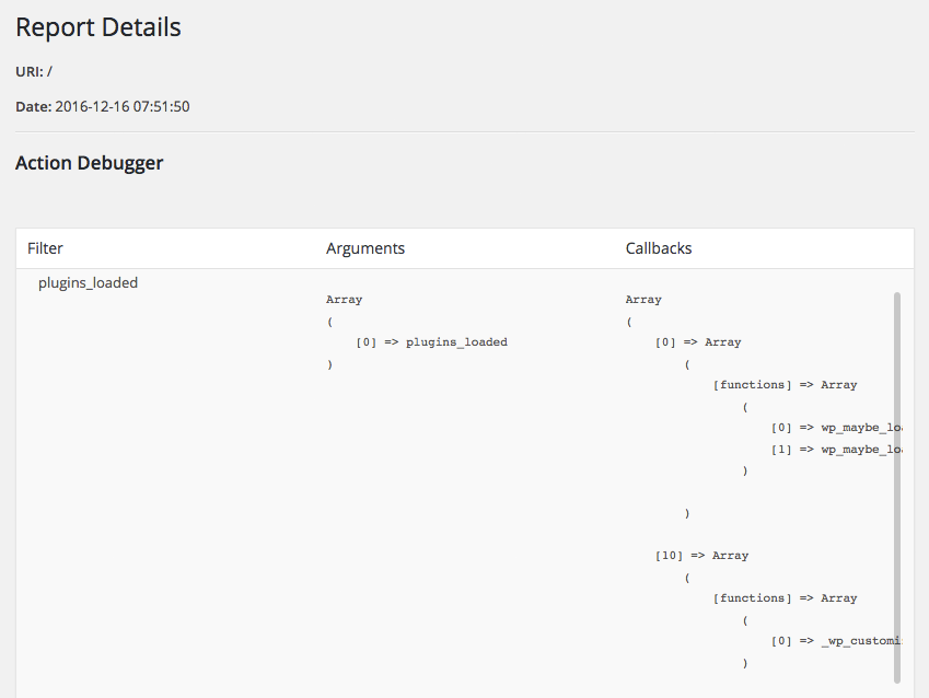 Report Details - Action Debugger
