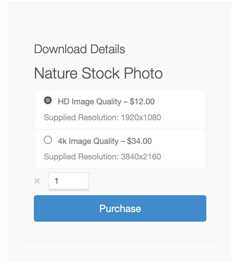 The pricing descriptions shown to the user