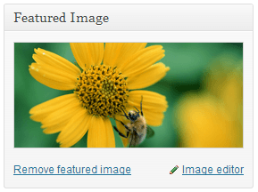 Edik extended editor for featured image