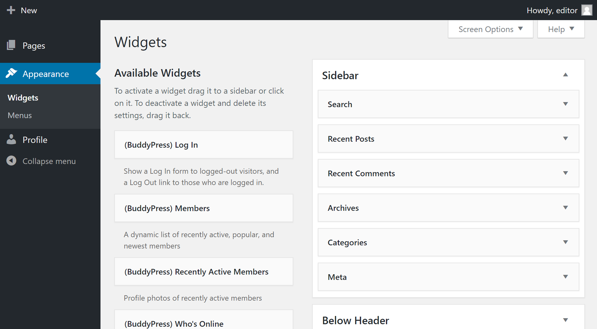The "Widgets" page being modified by an Editor.